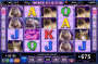 100 Cats Kostenlos Spielautomat Online