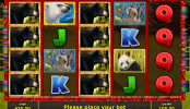 Spielautomat Bear Tracks Novoline Online Kostenlos