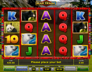 Spielautomat Bear Tracks Novoline Online Kostenlos