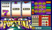 Spielautomat Fortuna Online Kostenlos Spielen