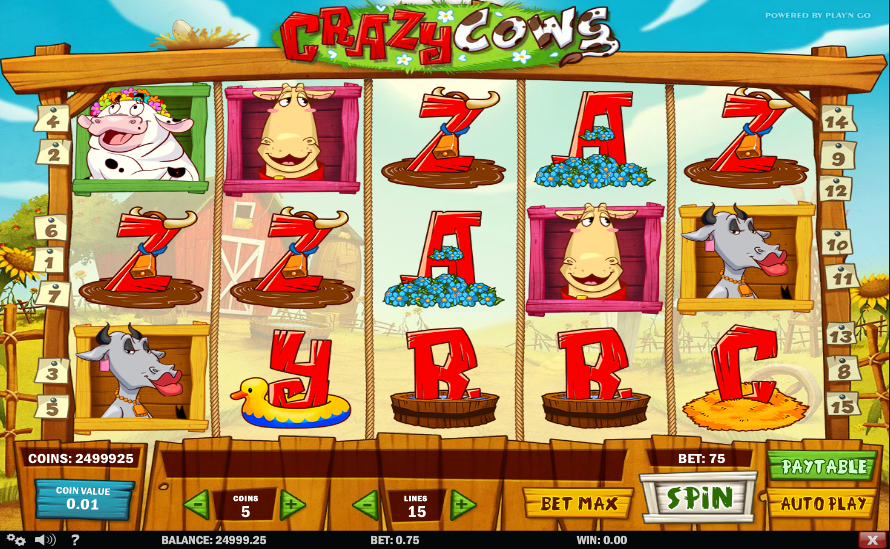 Crazy Cows