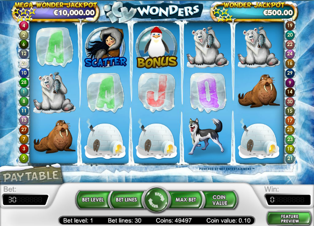 Icy Wonders